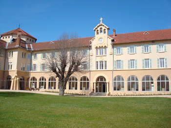 STJ1